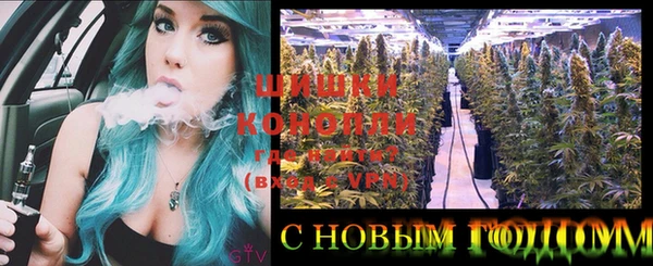 соль ск Кукмор