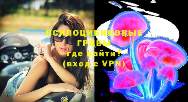 крисы Куйбышев