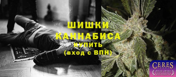 крисы Куйбышев