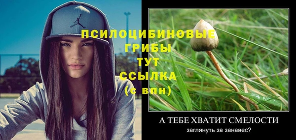 крисы Куйбышев