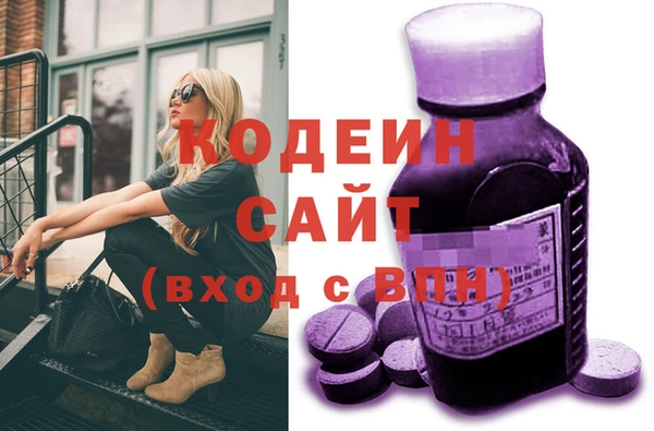 соль ск Кукмор